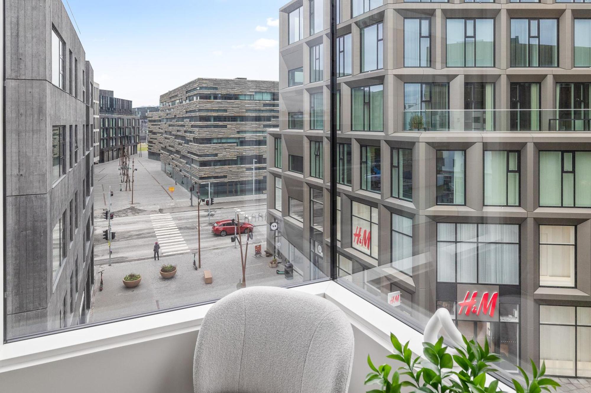 Desirable Penthouse In Reiquiavique